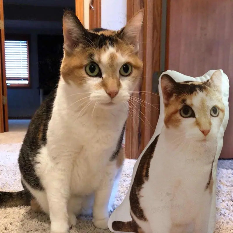 Custom Cat Pillow - Calico cat sitting next to its personalized custom cat pillow, showcasing a striking resemblance with the pet’s distinctive black, orange, and white coat. This custom pillow is the perfect keepsake for pet owners wanting a unique and lifelike tribute to their cat.
