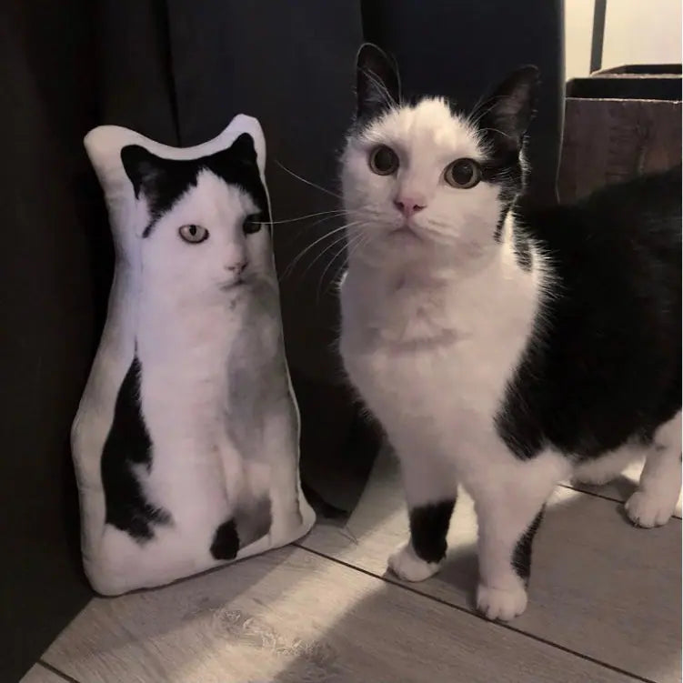 Custom Cat Memorial Gifts Pillow featuring a black and white cat standing beside its personalized pillow replica – a thoughtful keepsake for remembering your beloved pet.