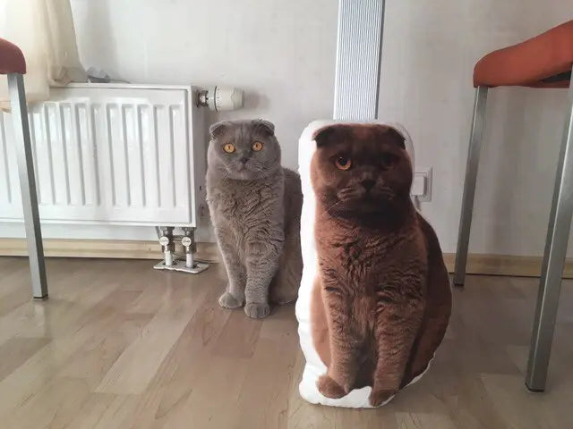 Custom Cat Pillow - Gray Scottish Fold cat sitting next to its custom cat pillow, highlighting a plush replica of the pet’s distinct features and striking amber eyes. The personalized pillow offers a perfect match for cat owners looking to celebrate their pet with a unique, custom-made pillow.
