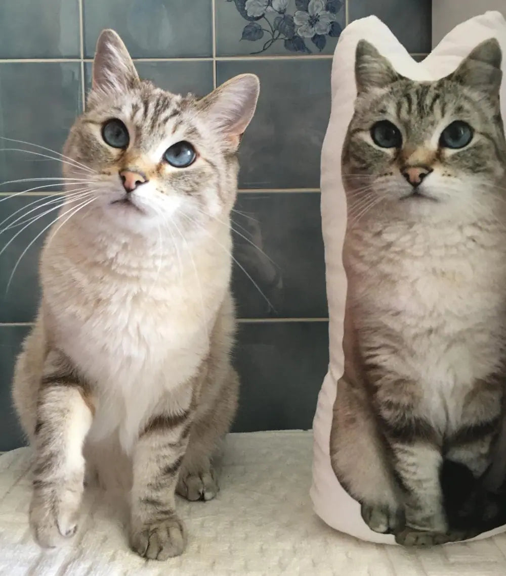 Custom Cat Pillow - Adorable light gray tabby cat sitting beside its matching custom cat pillow, showcasing a perfect replica of the pet's unique features. The pillow is an exact likeness of the cat, making it the ideal personalized gift for cat lovers.