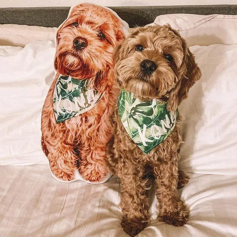 Dog Memorial Gifts - Pillow featuring a personalized photo pillow of a fluffy brown dog with matching green bandana, sitting next to the real dog on a bed.