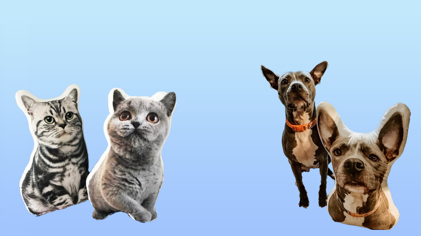 Picture of your pet on 2024 a pillow