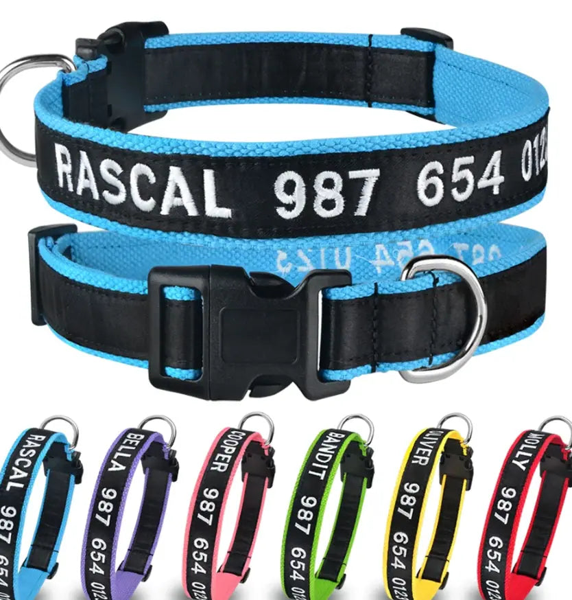 Personalized dog collars in various colors with pet names and phone numbers embroidered, featuring durable nylon material and adjustable straps for secure fitting.