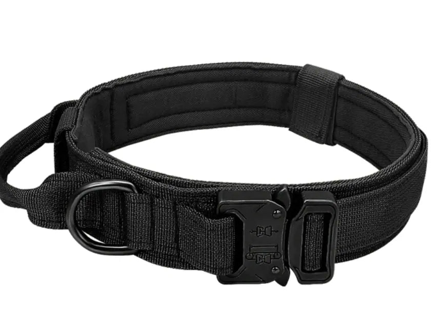 Black personalized dog collar with adjustable neck strap and heavy-duty metal buckle, designed for durability and comfort, ideal for medium to large dog breeds.