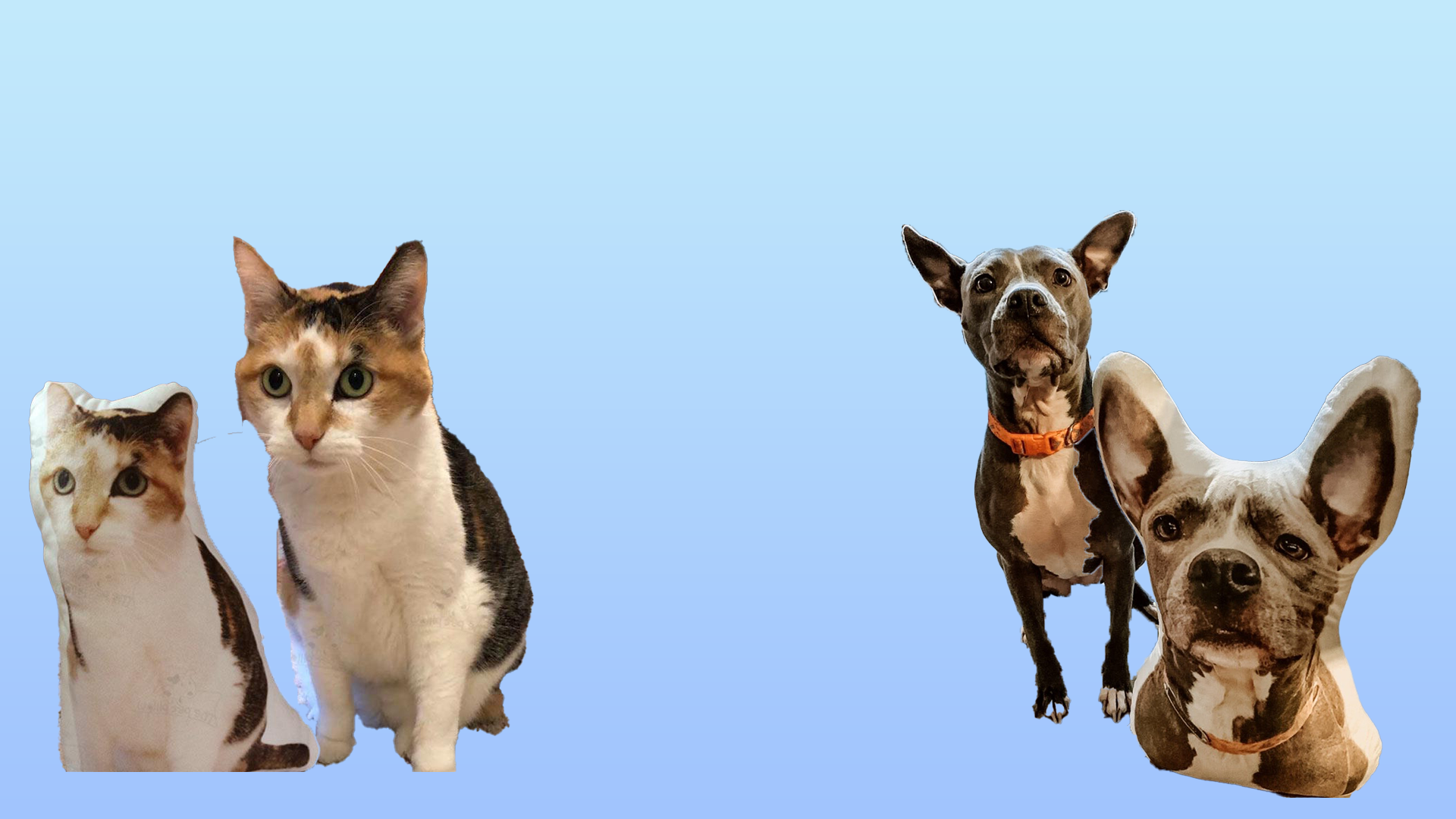 Turn pet into sales pillow