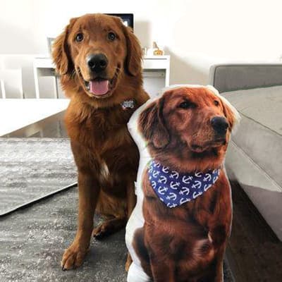 Photo of a custom pet pillow featuring a dog, ready for order completion.