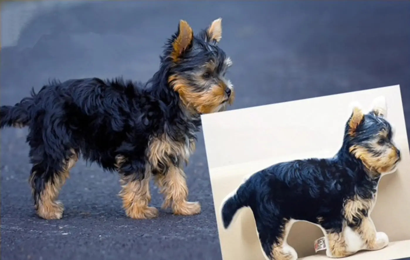 Custom Dog Pillow of a small black and tan Yorkie, placed beside the real Yorkshire Terrier, showcasing the lifelike detail and personalization available for pet lovers.