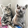 Cat Memorial Gifts - Pillow