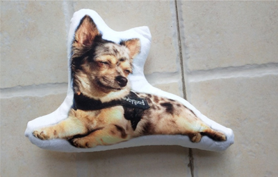 Custom Dog Pillow