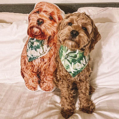 Dog Memorial Gifts - Pillow